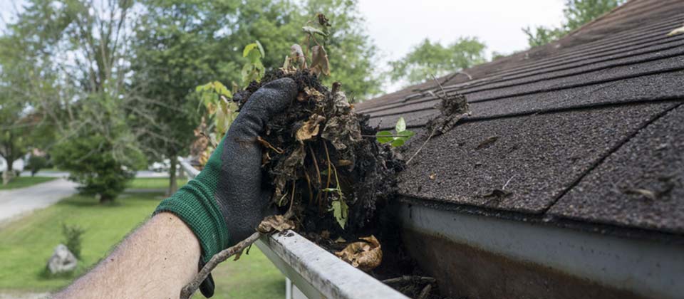 Image linking to the Gutter Cleaning page for details of  and the  on offer there: Efficient cleaning and clearing of gutters throughout Herefordshire, Monmouthshire, the Wye Valley and the Forest of Dean.